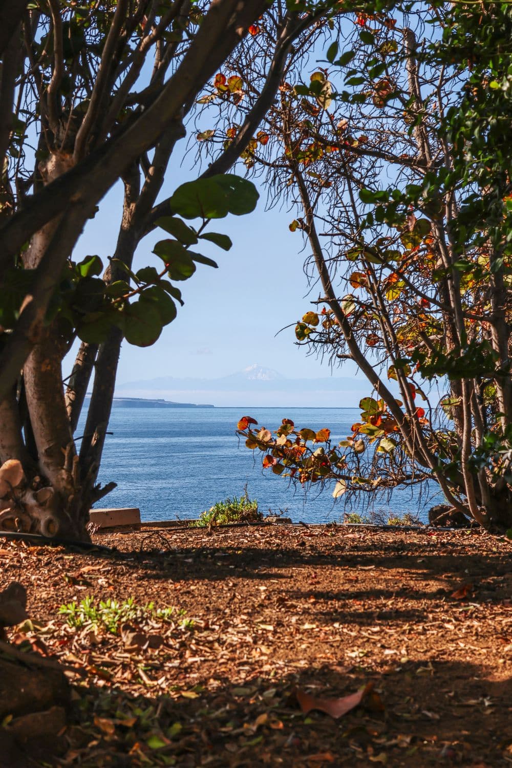 Littoral ultramarin, vue sur l'océan